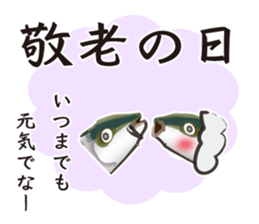 Event of the Sanuki dialect yellowtail sticker #7479564