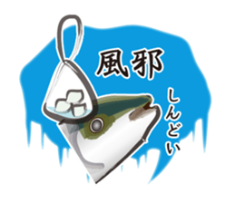 Event of the Sanuki dialect yellowtail sticker #7479566