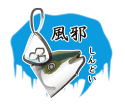 Event of the Sanuki dialect yellowtail sticker #7479566