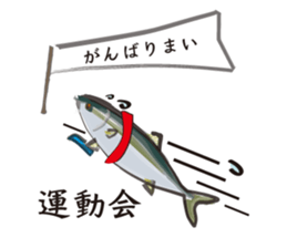 Event of the Sanuki dialect yellowtail sticker #7479578