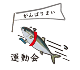 Event of the Sanuki dialect yellowtail sticker #7479578