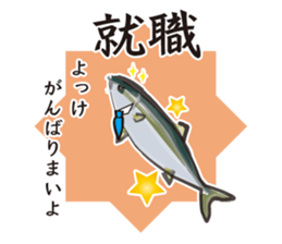 Event of the Sanuki dialect yellowtail sticker #7479581