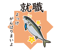Event of the Sanuki dialect yellowtail sticker #7479581
