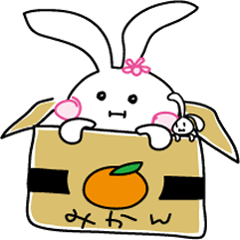 Baby rabbit and stuffed animal Mimi