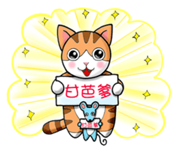 Poker face & Piggy cat sticker #7480239