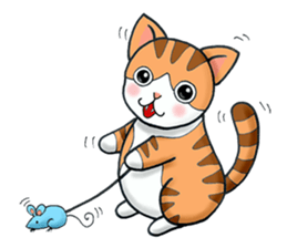 Poker face & Piggy cat sticker #7480242