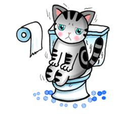 Poker face & Piggy cat sticker #7480249