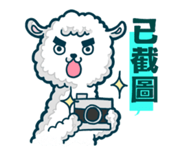 crazy alpaca sticker #7480272