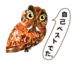 40 Owls_vol.4 sticker #7484468
