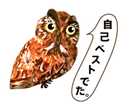 40 Owls_vol.4 sticker #7484468