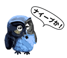 40 Owls_vol.4 sticker #7484470