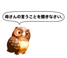 40 Owls_vol.4 sticker #7484475