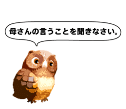 40 Owls_vol.4 sticker #7484475