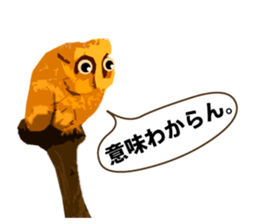 40 Owls_vol.4 sticker #7484477