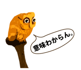 40 Owls_vol.4 sticker #7484477