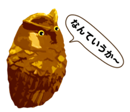 40 Owls_vol.4 sticker #7484484