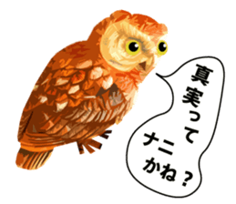 40 Owls_vol.4 sticker #7484488