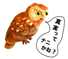 40 Owls_vol.4 sticker #7484488