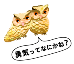 40 Owls_vol.4 sticker #7484489
