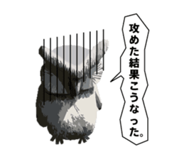 40 Owls_vol.4 sticker #7484493