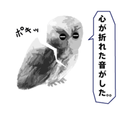 40 Owls_vol.4 sticker #7484500
