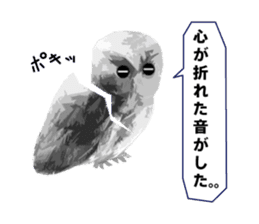 40 Owls_vol.4 sticker #7484500