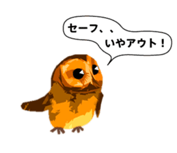 40 Owls_vol.4 sticker #7484502