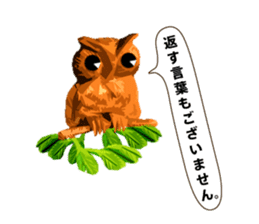 40 Owls_vol.4 sticker #7484507