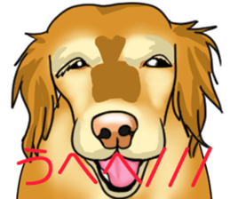 it is bowwow a friend sticker #7484854