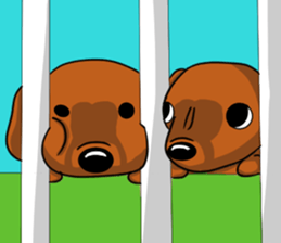 it is bowwow a friend sticker #7484860