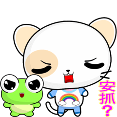 Round Cat (everyday life)