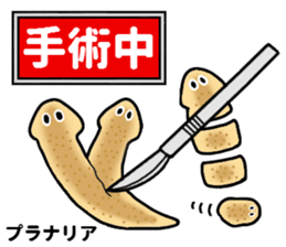 Let's science sticker 3 sticker #7486690