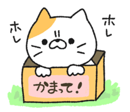 It's not straightforward cat sticker #7488651