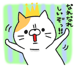 It's not straightforward cat sticker #7488659