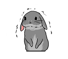 Cute rabbit life2 sticker #7489634
