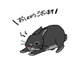 Cute rabbit life2 sticker #7489643