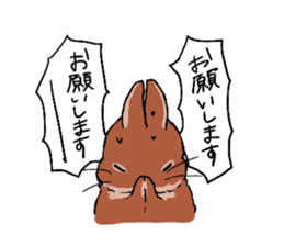 Cute rabbit life2 sticker #7489644