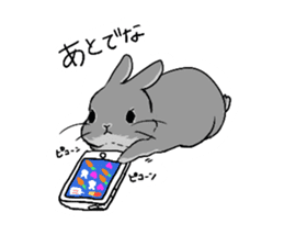 Cute rabbit life2 sticker #7489645