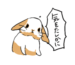 Cute rabbit life2 sticker #7489650