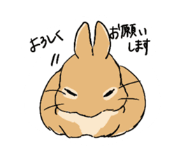 Cute rabbit life2 sticker #7489656
