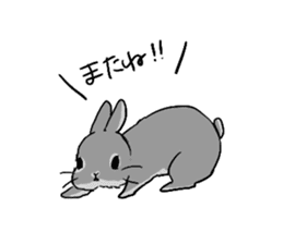 Cute rabbit life2 sticker #7489667