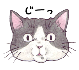 Cat sticker that can be used every day sticker #7490588