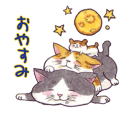 Cat sticker that can be used every day sticker #7490601