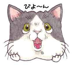 Cat sticker that can be used every day sticker #7490603