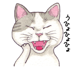 Cat sticker that can be used every day sticker #7490609