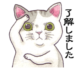 Cat sticker that can be used every day sticker #7490610