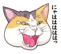 Cat sticker that can be used every day sticker #7490613