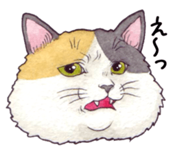 Cat sticker that can be used every day sticker #7490614