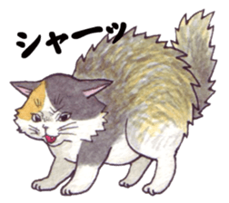 Cat sticker that can be used every day sticker #7490617