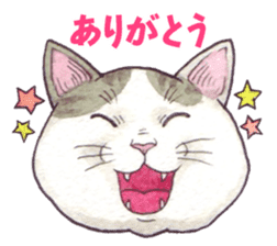 Cat sticker that can be used every day sticker #7490618